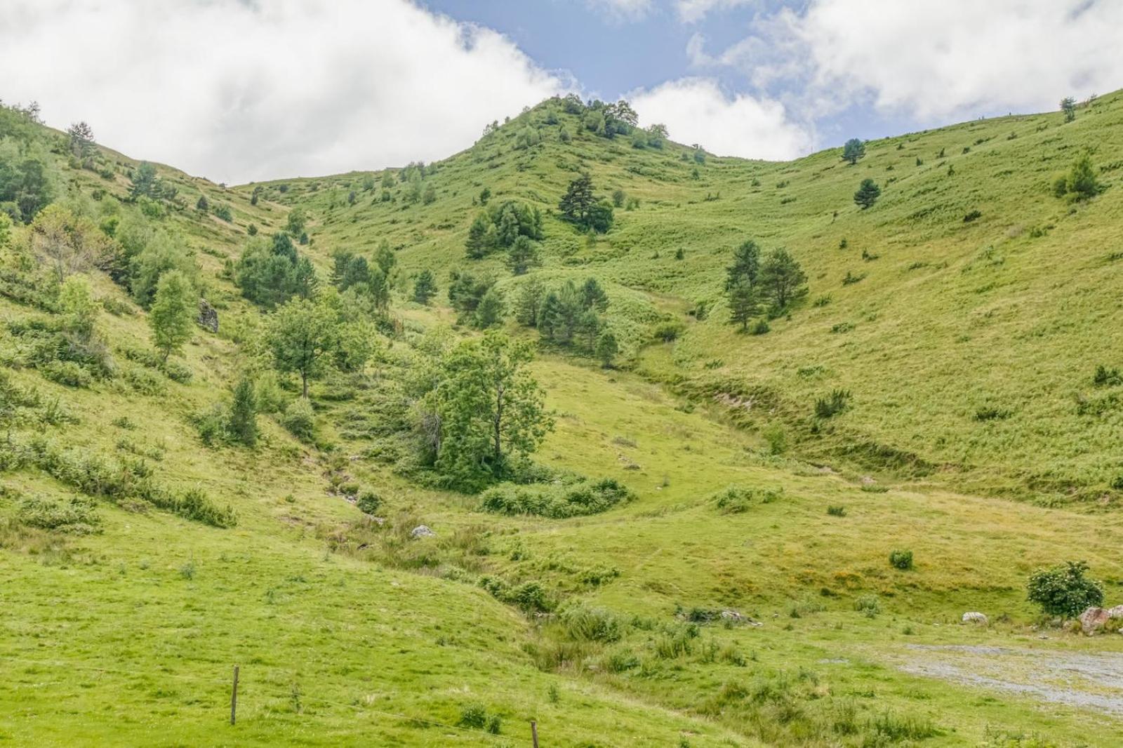 Appartement Alpin A 200M Des Pistes Génos 외부 사진